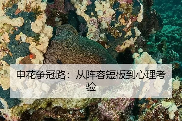 申花争冠路：从阵容短板到心理考验