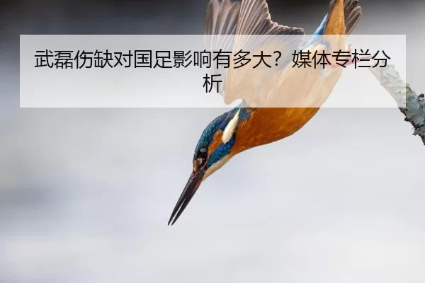 武磊伤缺对国足影响有多大？媒体专栏分析